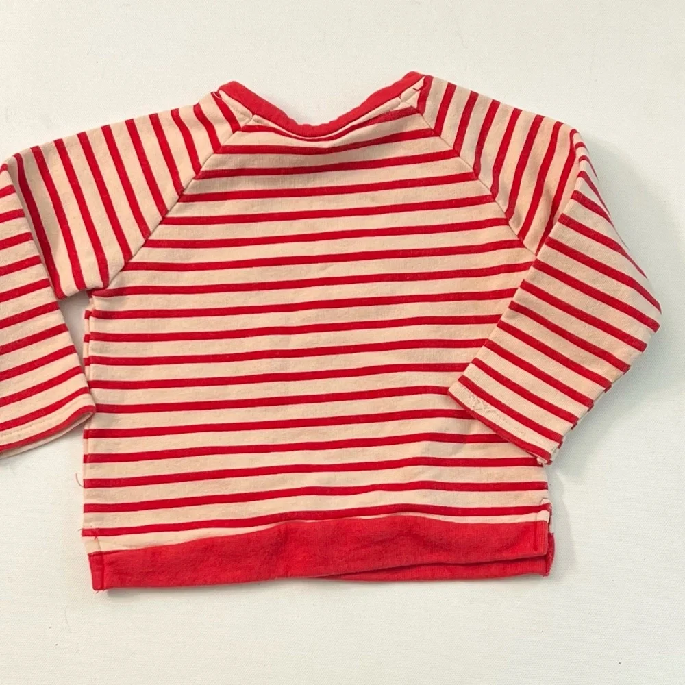 Zara Baby Girl Striped “Bloom “ Sweatshirt